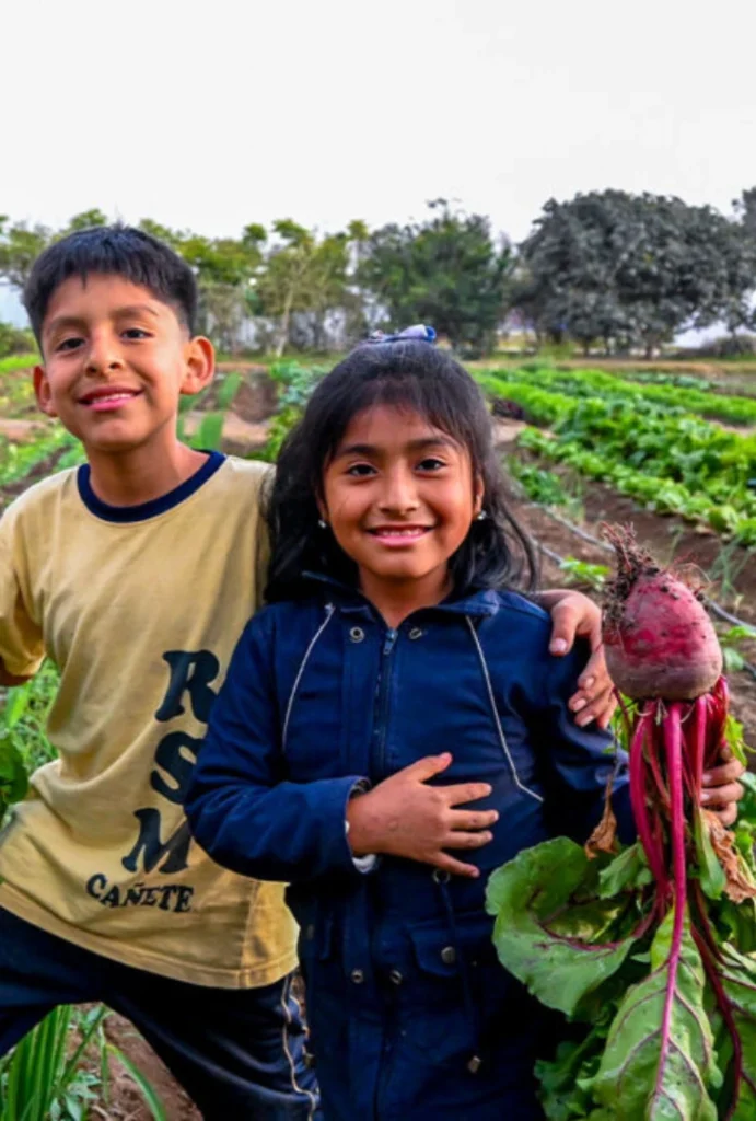 • nph project featured image